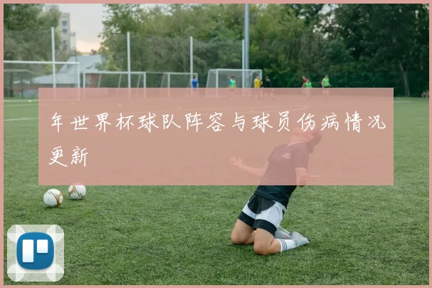 年世界杯球队阵容与球员伤病情况更新
