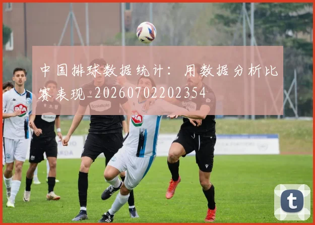 中国排球数据统计:用数据分析比赛表现_20260702202354